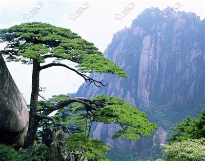 巨蟹座财运运势：2026年最准确解读