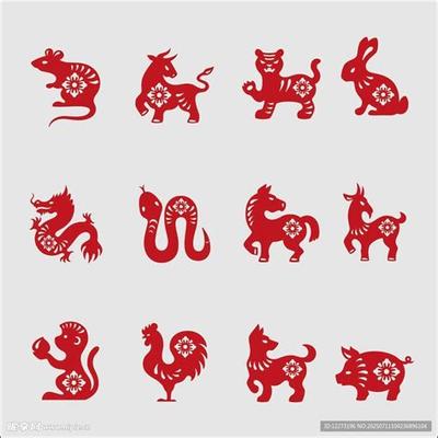 属蛇的人性格特征与最佳配对